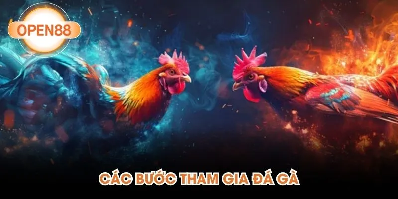 Các bước tham gia đá gà