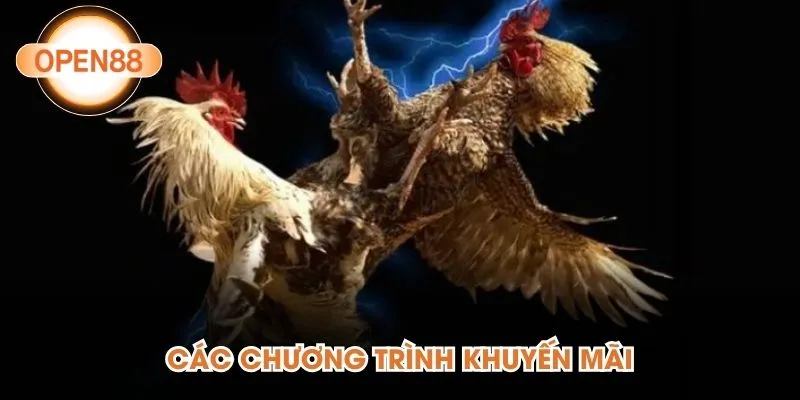 Các chương trình khuyến mãi