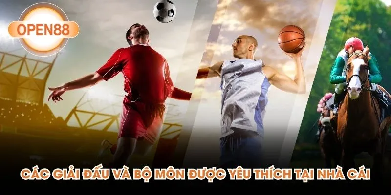 Các giải đấu và bộ môn được yêu thích tại nhà cái