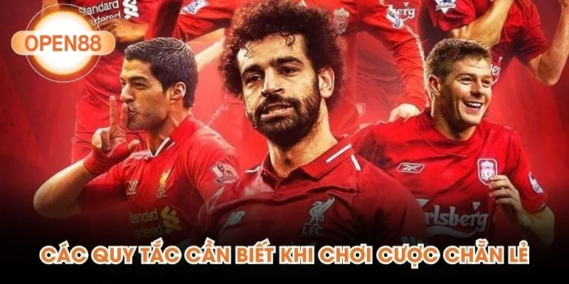 Các quy tắc cần biết khi chơi cược chẵn lẻ