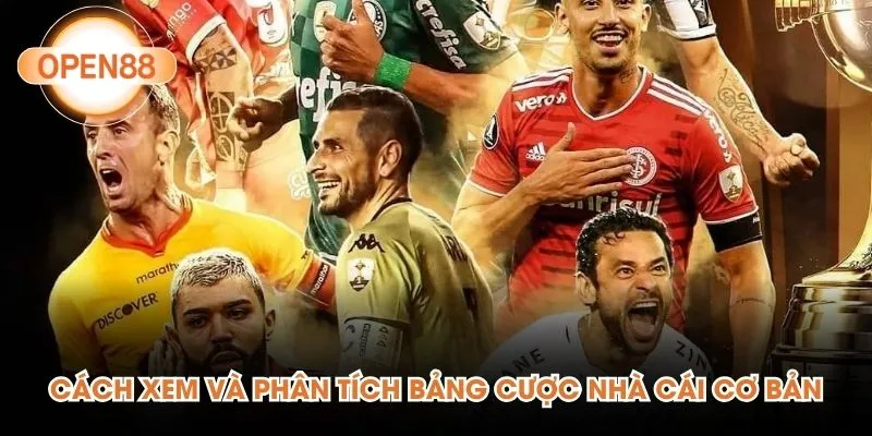 Cách xem và phân tích bảng cược nhà cái cơ bản