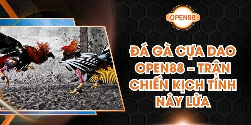Đá Gà Cựa Dao Open88 – Trận Chiến Kịch Tính Nảy Lửa