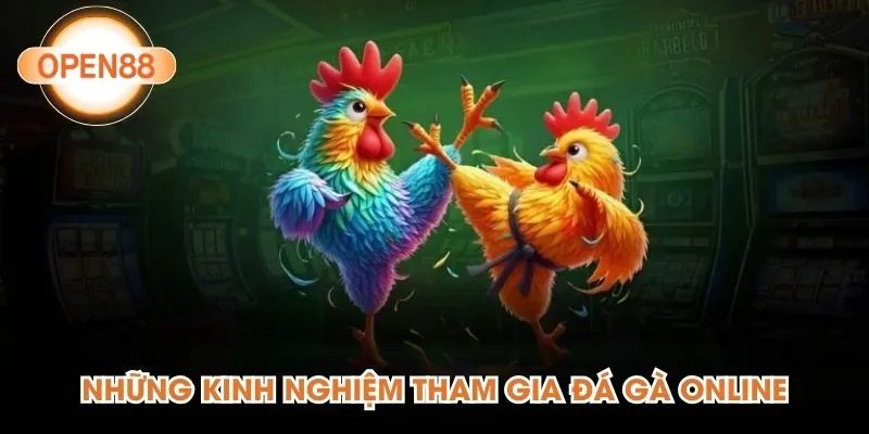 Những kinh nghiệm tham gia đá gà online