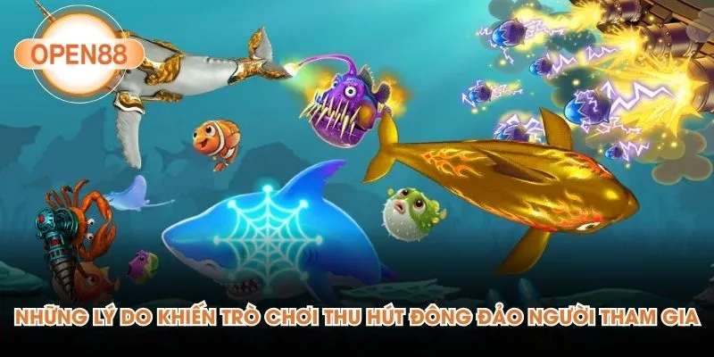 Những lý do khiến trò chơi thu hút đông đảo người tham gia