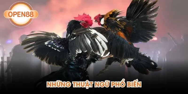 Những thuật ngữ phổ biến