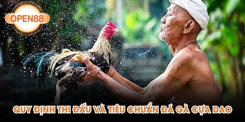 Quy định thi đấu và tiêu chuẩn đá gà cựa dao
