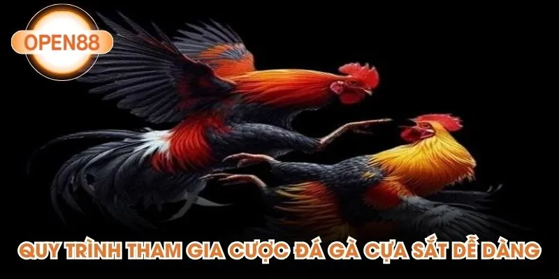 Quy trình tham gia cược đá gà cựa sắt dễ dàng