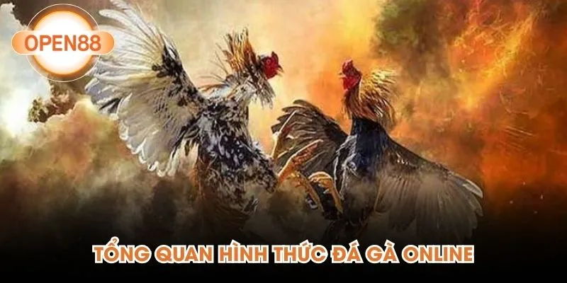 Tổng quan hình thức đá gà online